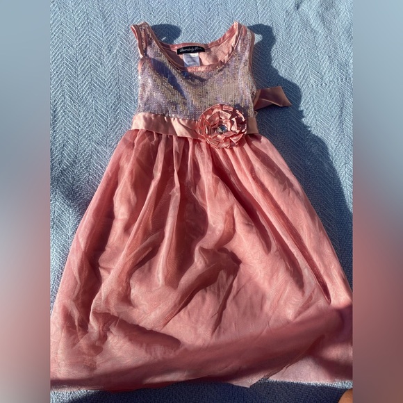 Little Girls Sequined Rose Tulle Dress - Picture 1 of 4